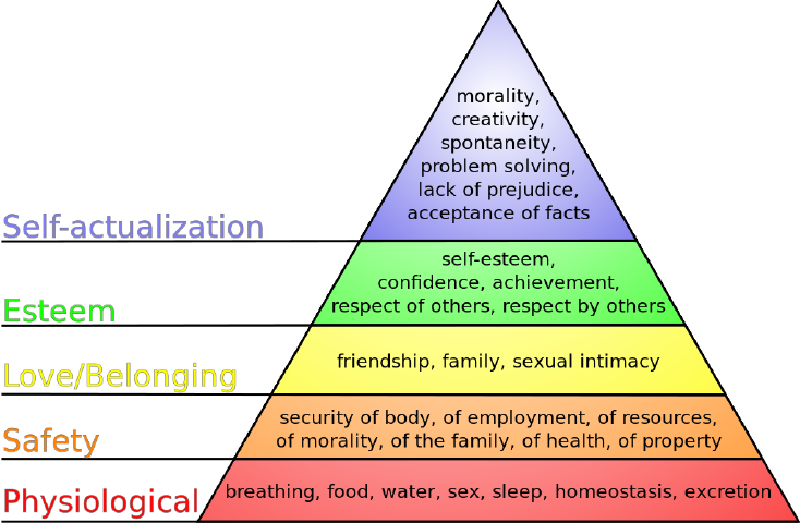A New Level to The Maslow's Hierarchy of Needs